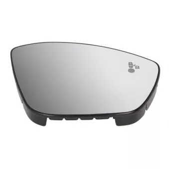 BLIC 5402-21-0199313P - Verre de rétroviseur, rétroviseur extérieur