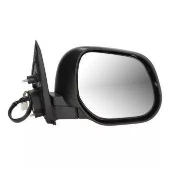 Rétroviseur extérieur BLIC OEM 8154KJ