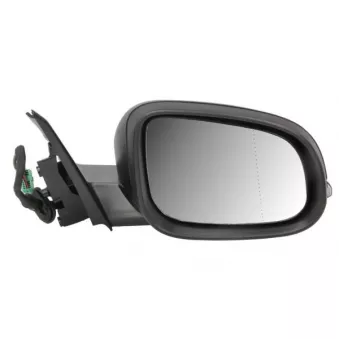 Rétroviseur extérieur BLIC 5402-24-1514317P