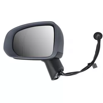 Rétroviseur extérieur BLIC 5402-24-2025312P pour PEUGEOT J7 2.0 T5 Polestar AWD - 261cv