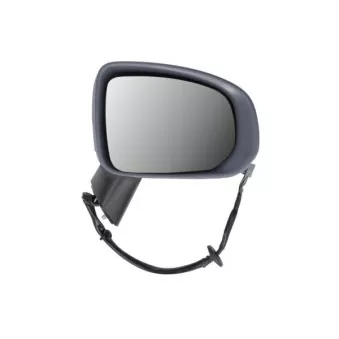 Rétroviseur extérieur BLIC 5402-24-2025313P pour PEUGEOT J7 2.0 T5 Polestar AWD - 261cv