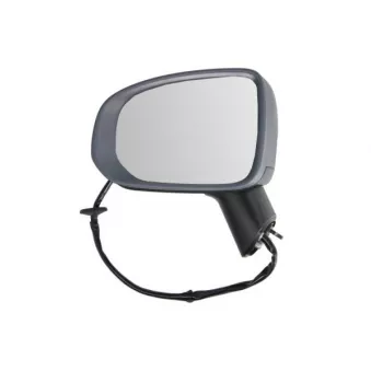 Rétroviseur extérieur BLIC 5402-24-2025314P pour PEUGEOT J7 2.0 T5 Polestar AWD - 261cv