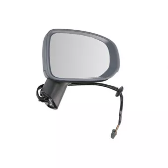 Rétroviseur extérieur BLIC 5402-24-2025315P