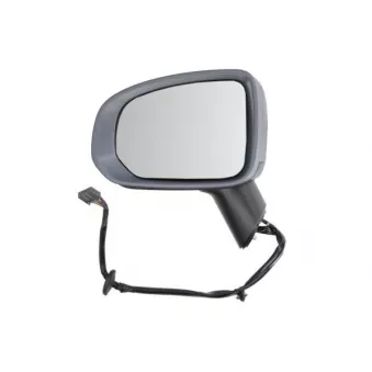 Rétroviseur extérieur BLIC 5402-24-2025316P pour PEUGEOT J7 2.0 T5 Polestar AWD - 261cv