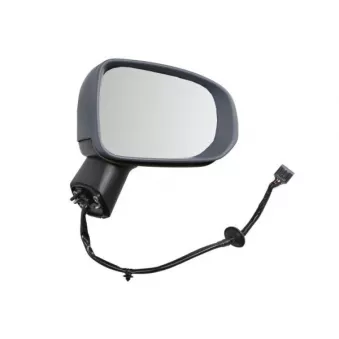 Rétroviseur extérieur BLIC 5402-24-2025317P pour PEUGEOT J7 2.0 T5 Polestar AWD - 261cv