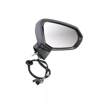 Rétroviseur extérieur BLIC 5402-25-0067315P pour AUDI Q2 1.6 TDI - 115cv