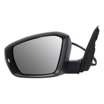 Rétroviseur extérieur BLIC 5402-43-1923310P pour SKODA OCTAVIA 2.0 TDI 4x4 - 150cv