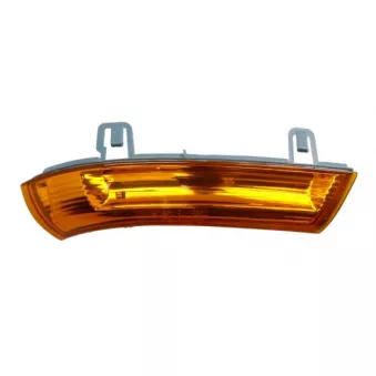 BLIC 5403-053-10-856 - Feu clignotant