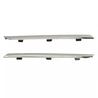 BLIC 5510-00-6034920Q - Baguette et bande protectrice, grille de radiateur
