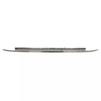 BLIC 5511-00-2013974P - Baguette et bande protectrice, pare-chocs