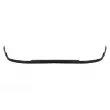 BLIC 5511-00-4004221P - Spoiler