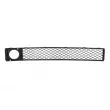 BLIC 5513-00-0077926P - Grille de ventilation, pare-chocs avant gauche