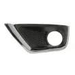 BLIC 5513-00-3217923P - Grille de ventilation, pare-chocs avant gauche
