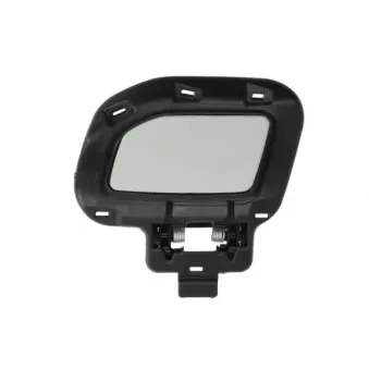 Enjoliveur, pare-chocs avant gauche BLIC [5513-00-6456921P]