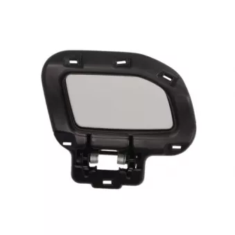 Enjoliveur, pare-chocs avant BLIC [5513-00-6456922P]