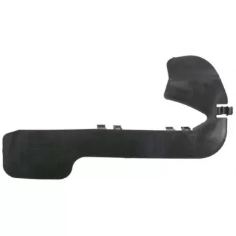 Cadre, projecteur antibrouillard avant gauche BLIC 5513-00-7703931P