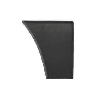 Baguette et bande protectrice, aile avant droit BLIC 5703-04-2092578P