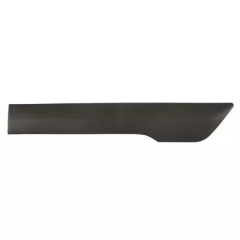 BLIC 5703-04-2508581P - Baguette et bande protectrice, panneau latérale avant gauche