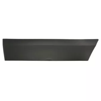 BLIC 5703-04-3547583P - Baguette et bande protectrice, porte avant gauche