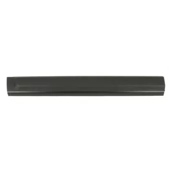 Baguette et bande protectrice, porte avant gauche BLIC 5703-04-6490571P