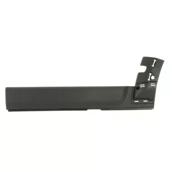 Baguette et bande protectrice, porte avant gauche BLIC 5703-04-6490573P