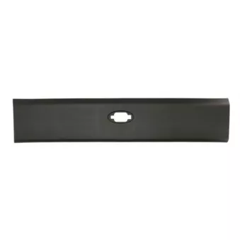 BLIC 5703-06-6089573P - Baguette et bande protectrice, panneau latérale avant gauche