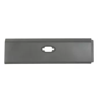 BLIC 5703-06-6089576DP - Baguette et bande protectrice, panneau latérale avant droit