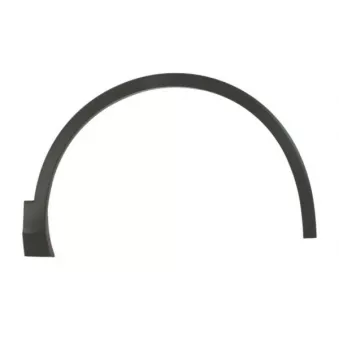 Baguette et bande protectrice, aile avant droit BLIC 5703-08-9588372Q