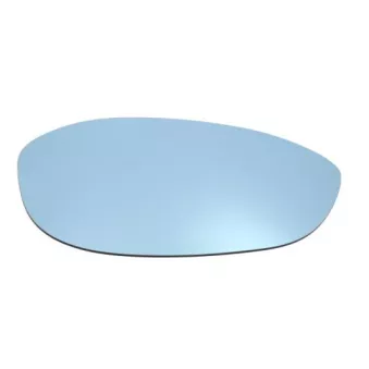 Verre de rétroviseur, rétroviseur extérieur BLIC 6102-02-1212211P pour VOLKSWAGEN PASSAT 2.0 JTDM - 170cv