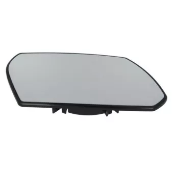 Verre de rétroviseur, rétroviseur extérieur BLIC OEM 1025039