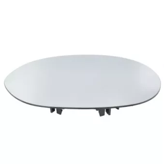 Verre de rétroviseur, rétroviseur extérieur BLIC OEM 71711064