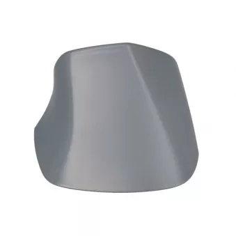 Revêtement, rétroviseur extérieur BLIC 6103-04-1103313P