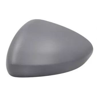 Revêtement, rétroviseur extérieur BLIC 6103-07-0354310P pour FIAT TIPO 1.4 LPG - 120cv