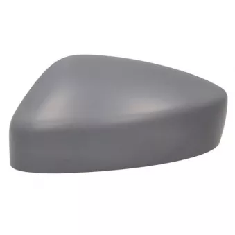 Revêtement, rétroviseur extérieur BLIC 6103-14-1906310P