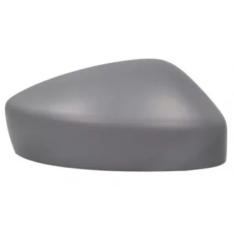 Revêtement, rétroviseur extérieur BLIC 6103-14-1906311P