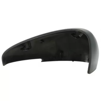 Revêtement, rétroviseur extérieur BLIC 6103-21-1882310P