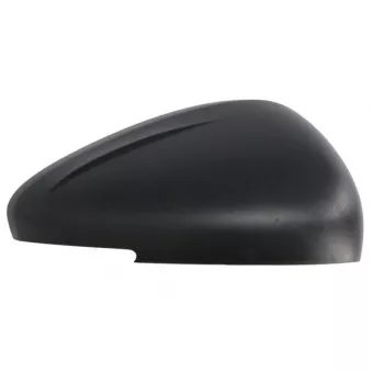 Revêtement, rétroviseur extérieur BLIC 6103-21-1882311P