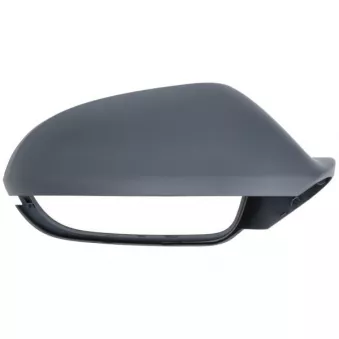 Revêtement, rétroviseur extérieur BLIC 6103-25-0062311P