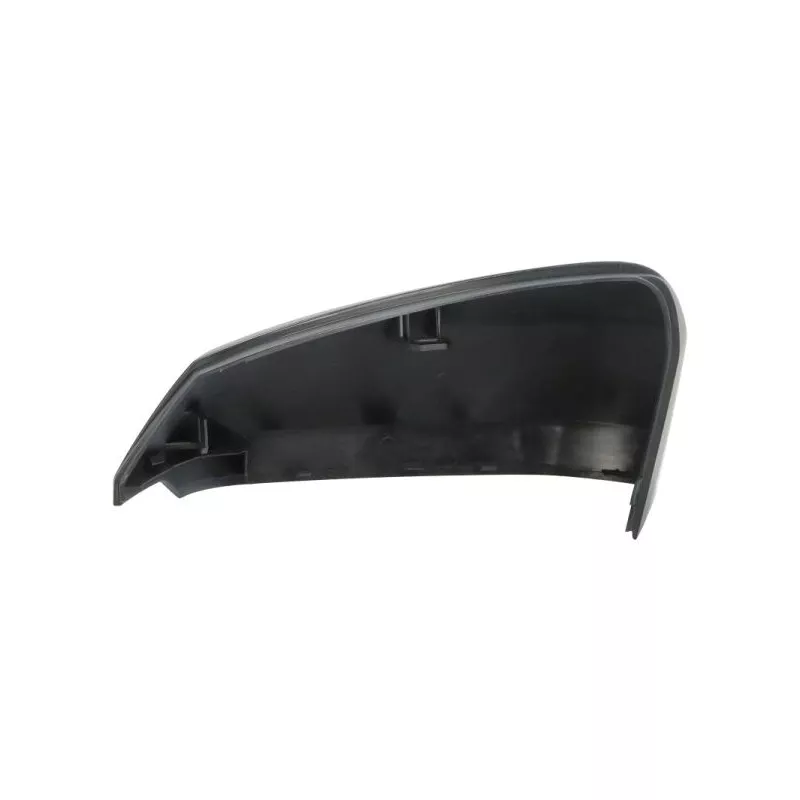 Revêtement, rétroviseur extérieur BLIC 6103-25-0067310P - Visuel 1