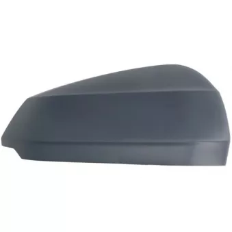 Revêtement, rétroviseur extérieur BLIC 6103-25-0067313P