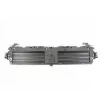 BLIC 6502-03-0030205P - Grille de ventilation, pare-chocs