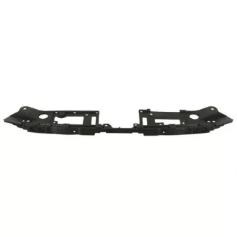 Support, grille de radiateur BLIC 6502-03-3479208P