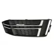 BLIC 6502-07-0030998P - Grille de ventilation, pare-chocs avant