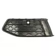 BLIC 6502-07-0043922P - Grille de ventilation, pare-chocs avant