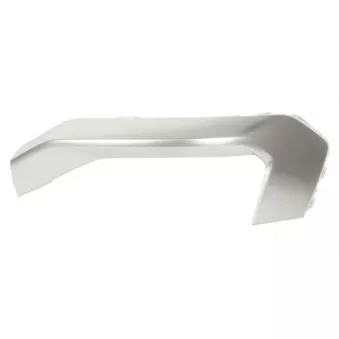 Baguette et bande protectrice, pare-chocs avant gauche BLIC 6502-07-0048977P