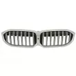 BLIC 6502-07-0064990P - Grille de radiateur