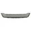 BLIC 6502-07-0926997P - Grille de radiateur