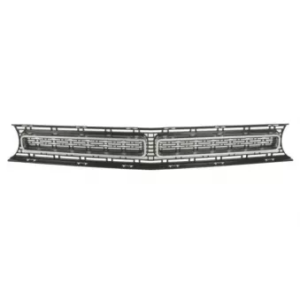 Grille de radiateur BLIC 6502-07-0950993P