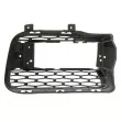 BLIC 6502-07-2002982P - Grille de ventilation, pare-chocs avant