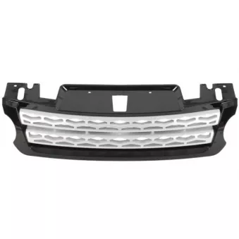 Grille de radiateur BLIC 6502-07-2002996P